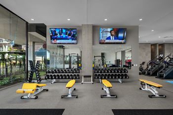 Free weights